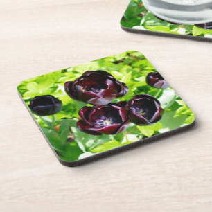  Nederlands Paars Groen Zwarte Tulpen Foto Onderzetter