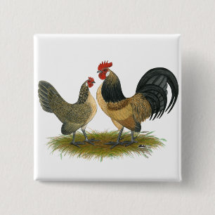 Nederlandse Bantam: Blauwe Kaart Vierkante Button 5,1 Cm