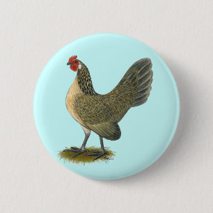 Nederlandse Bantam: Blue Quail Hen Ronde Button 5,7 Cm