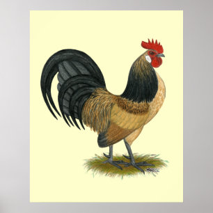 Nederlandse Bantam:  Blue Quail Rooster Poster