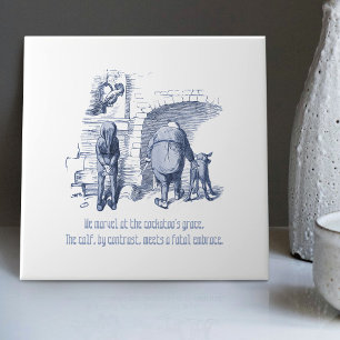 Nederlandse Delft Wilhelm Busch Geïnspireerde Spee Tegeltje
