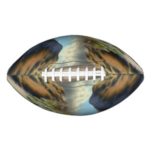 Nederlandse Kustduinen American Football