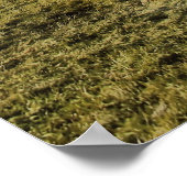 Nederlandse nostalgie poster (Hoek)