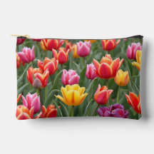 Nederlandse Tulpen
