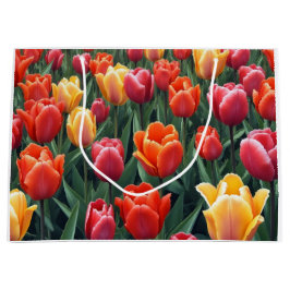 Nederlandse Tulpen Groot Cadeauzakje