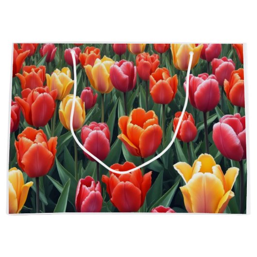 Nederlandse Tulpen Groot Cadeauzakje (Voorkant)