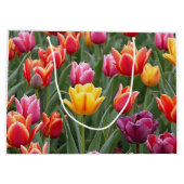 Nederlandse Tulpen Groot Cadeauzakje (Achterkant)
