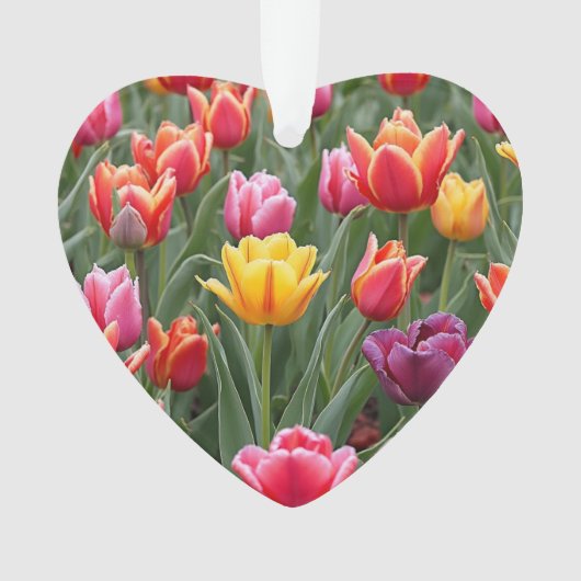 Nederlandse Tulpen Ornament (voorkant)