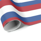 Nederlandse vlag cadeaupapier (Rol Hoek)