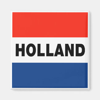 Nederlandse vlag magneet