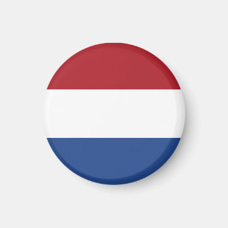 Nederlandse vlag magneet