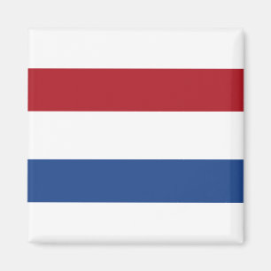 Nederlandse vlag magneet