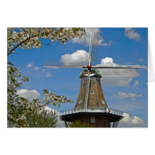 Nederlandse windmolen