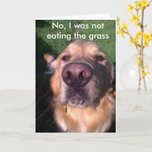 Nee, dat was ik niet kaart (Gele Bloem)