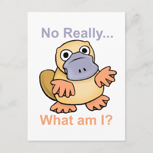 Nee echt... Wat ben ik? Platypus Briefkaart (Voorkant)