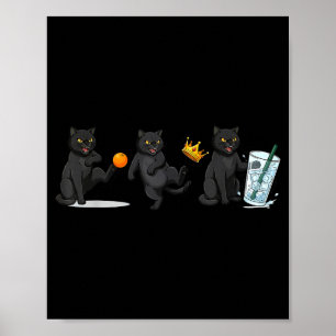 Nee hoor, geen koningen, geen ijsbeer, grappige po poster