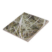 "needle in een hooiberg" Foto Tile Tegeltje (Zijkant)