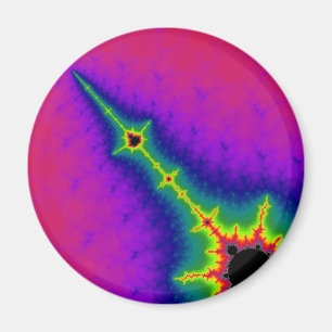 Needle Magnet Magneet