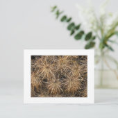 "Needles and Hay Stacks" Briefkaart (Staand voorkant)