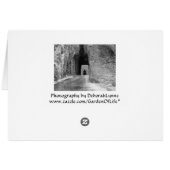 Needles Highway Tunnel (Achterkant Horizontaal)