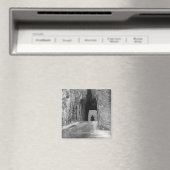 Needles Highway Tunnel Magneet (Insitu (Vaatwasser))