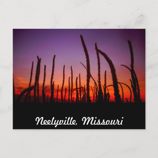 Neelyville Missouri Briefkaart (Voorkant)