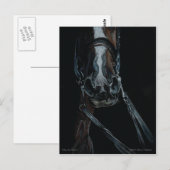 Neem de regens van Mary Gubisch Briefkaart (Voorkant / Achterkant)