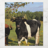 Neem de stier bij de hoorns wijn etiket (Enkel label)