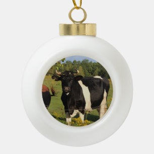 Neem de Stier door de Hoornen Keramische Bal Ornament