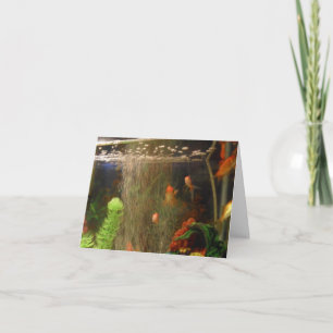 Neem een afbeelding kaart