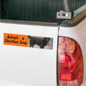 Neem een Bumpersticker van de Dog aan (Op Truck)