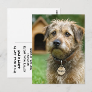Neem een huisdier briefkaart
