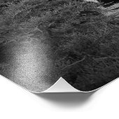 "Neem een nummer." Foto Afdruk (Hoek)