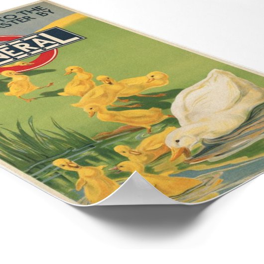 Neem een plunge in het land!  omkeren poster (Hoek)