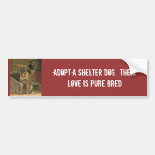 Neem een schuilhond. Hun liefde is puur Bumpersticker
