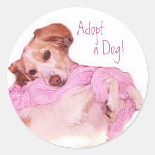 Neem een Sticker van de Dog aan