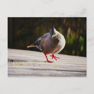 Neem een Walk Briefkaart