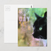 Neem het dagkat in beslag briefkaart (Voorkant / Achterkant)