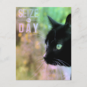 Neem het dagkat in beslag briefkaart