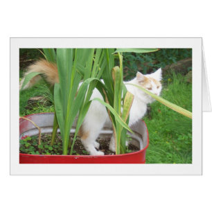 NEEM TIJD OM TE SPELEN DAT HET "UW BIRTHDAY" IS