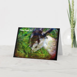 Neem tijd om te stoppen en de bloemen te rooien kaart