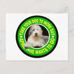 NEEM UW BEARDED COLLIE OM DAG TE WERKEN BRIEFKAART