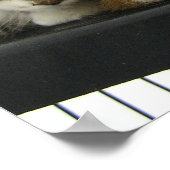 Neem vandaag een schuilkat aan poster (Hoek)