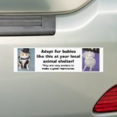 Neem zo'n bontbaby's in je eigen onderdak. bumpersticker (Op auto)