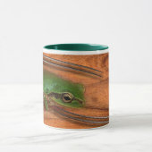 NEFERAS FROGGIE MOK (Midden)