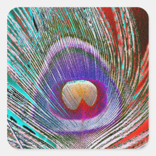 Negatieve Peacock-vanger Vierkante Sticker