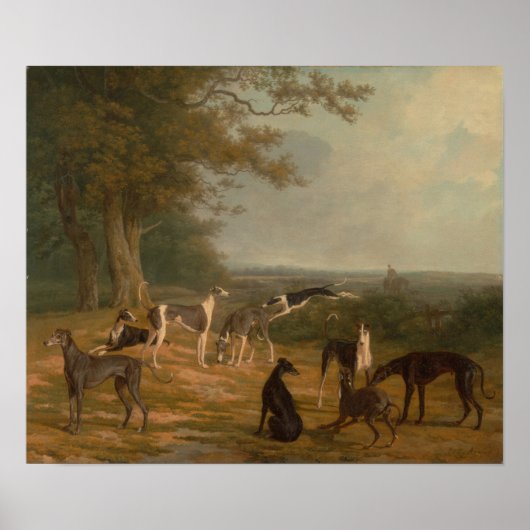 Negen windhonden in een landschap poster (Voorkant)