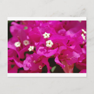 Negril, Jamaica Briefkaart