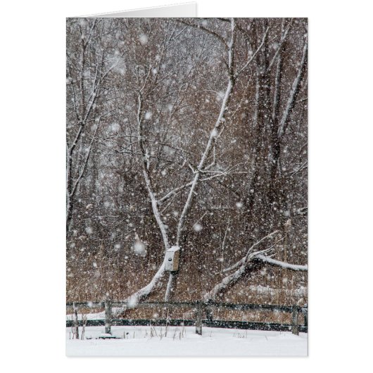 Neige au parc (Devant)