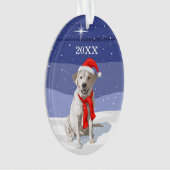 Neige Blanc Labrador Retriever Santa Hat & Scarf (devant)